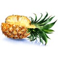 Fresh juicy sliced pineapple fruit , isolated, watercolor illustration on white Royalty Free Stock Photo