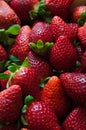 Fresh juicy strawberries tasty fruits in spring