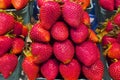 Fresh Juicy Strawberries in Vancouver's Grandville Island Market Royalty Free Stock Photo