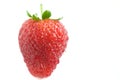 Fresh juicy strawberry