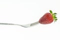 Fresh juicy strawberry on fork, on white Royalty Free Stock Photo