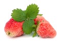 Fresh juicy strawberry with green leaves isolated. Royalty Free Stock Photo