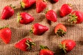 Fresh juicy strawberry on jute bag Royalty Free Stock Photo