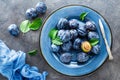 Fresh juicy sweet plums on plate with leaves Royalty Free Stock Photo