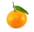 Fresh juicy tangerine