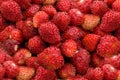 Fresh, juicy, tasty red strawberry close-up. Royalty Free Stock Photo