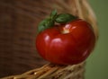 Fresh and juicy tomato with basil leafs Royalty Free Stock Photo