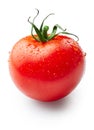 Fresh juicy tomato Royalty Free Stock Photo