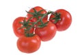 Fresh juicy tomatoes