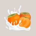 Fresh juicy whole and half sliced persimmon and splash of white liquid cartoon illustration.