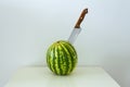 Juicy whole watermelon with knifed knive / concept