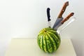 Juicy whole watermelon with knifed knive / concept