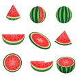 Fresh and juicy whole watermelons and slices