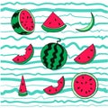 Fresh and juicy whole watermelons and slices on striped blue background