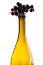 Fresh juicy wine grape on the top of empty yellow bottle