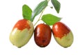 Fresh jujube fruit