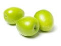 fresh jujubes . It also called the Chinese green jujube,it is produced in China Taiwan Royalty Free Stock Photo