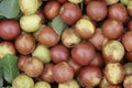 fresh Jujubes/date Royalty Free Stock Photo