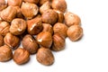 Fresh jumbo filberts hazelnut isolated close up Royalty Free Stock Photo