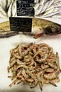 Fresh jumbo shrimp catfish on ice