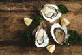 Fresh just opened oysters and slice of lemon on rustic wooden ba