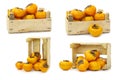 Fresh kaki fruit and a cut one in a wooden crate Royalty Free Stock Photo
