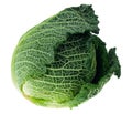 Fresh kale isolated Royalty Free Stock Photo
