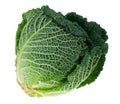 Fresh kale isolated Royalty Free Stock Photo