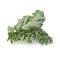 Fresh kale isolated on white background Royalty Free Stock Photo