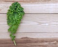 Fresh kale isolated on wooden table with copy space for your text or image Royalty Free Stock Photo