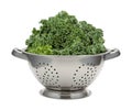 Fresh Kale in a Stainless Steel Colander