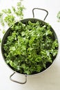 Fresh kale on white background Royalty Free Stock Photo
