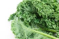 Fresh kale on white background