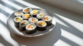 Fresh kimbap rolls with colorful vegetables on white rectangular plate in bright minimalist kitchen with natural Royalty Free Stock Photo