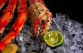 fresh king crub Royalty Free Stock Photo