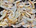 Fresh king tiger prawns closeup. Seafood at the fish market.