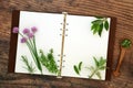 Fresh Kitchen Garden Herbs with Recipe Book Royalty Free Stock Photo