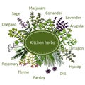 Fresh kitchen herbs