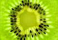 Fresh Kiwi background / SuperMacro / back lit