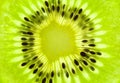 Fresh Kiwi background / SuperMacro