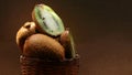 Fresh kiwi fruit, Actinidia chinensis in a wicker basket on a wooden background Royalty Free Stock Photo