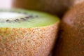 Fresh kiwi fruit flesh closeup. Royalty Free Stock Photo