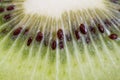 Fresh kiwi fruit flesh closeup. Royalty Free Stock Photo