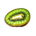 Fresh kiwi fruit. Half of a ripe kiwi isolated. Healthy diet. Vegetarian food