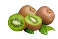 Fresh Kiwi Fruit Isolated on White Royalty Free Stock Photo