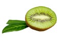 Fresh Kiwi Fruit Isolated on White Royalty Free Stock Photo