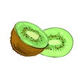 Fresh kiwi fruit Slice isolated on white background.