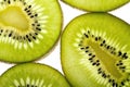 Fresh kiwi slices