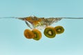 Kiwi slices falling deep in water Royalty Free Stock Photo