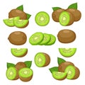 Fresh kiwi slices Royalty Free Stock Photo